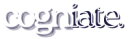 682299a1b597be8fe69671aa_Billabongbuys_Logo Shopify_White (1) (1)